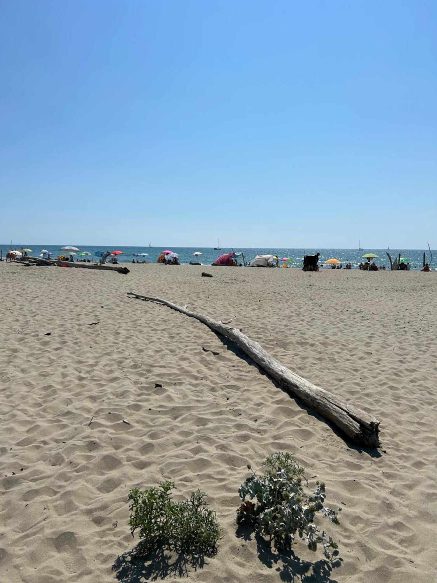 Art Hotel Pietrasanta Luaran gambar
